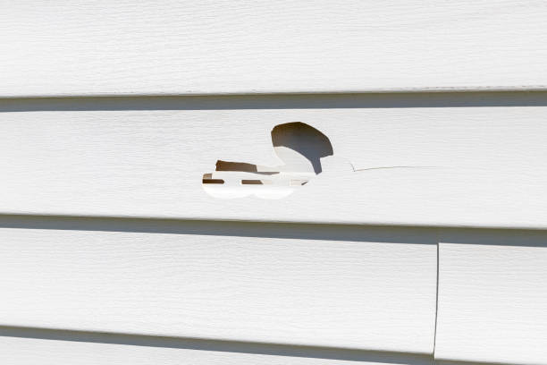 Storm Damage Siding Repair in Bell Canyon, CA