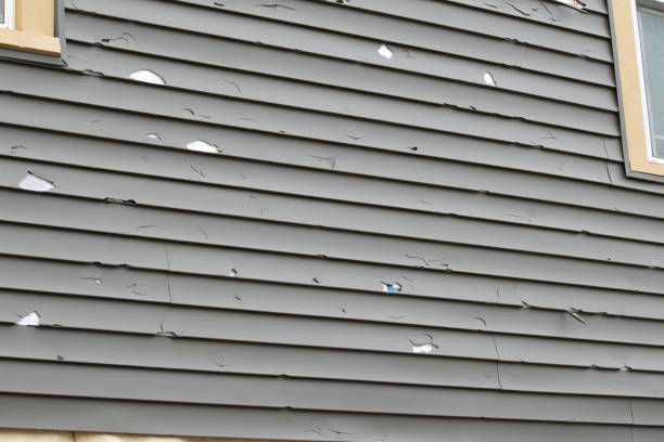 Best Aluminum Siding Installation  in Bell Nyon, CA